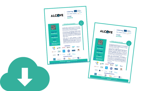 Poster officiel format A3